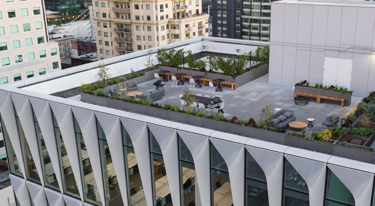 Rooftop garden